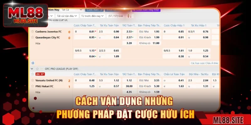 Cách vận dụng những phương pháp đặt cược hữu ích