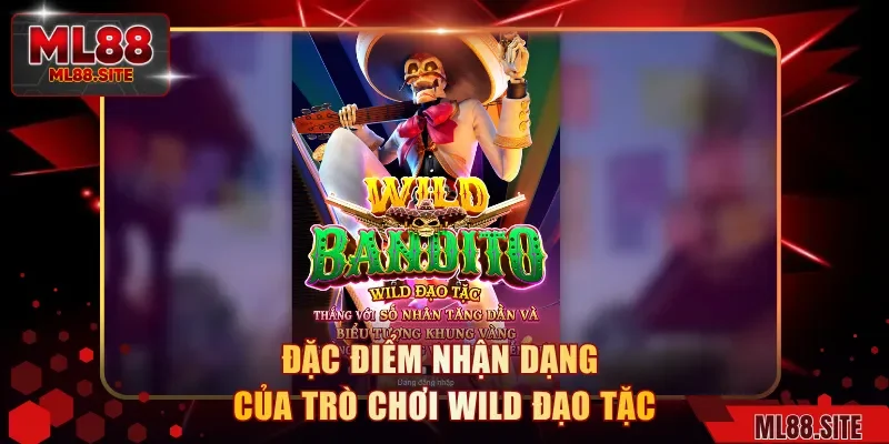 Đặc điểm nhận dạng của trò chơi wild đạo tặc