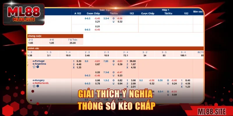 Giải thích ý nghĩa thông số kèo chấp